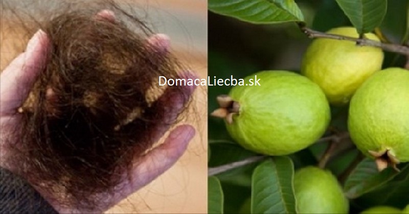 guava a vypadávanie vlasov