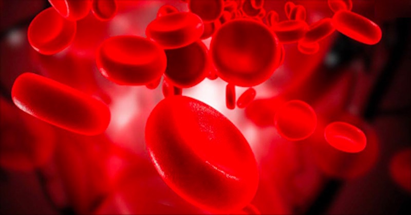7 tipov ako zlepšiť hladinu hemoglobínu v krvi prírodnou cestou