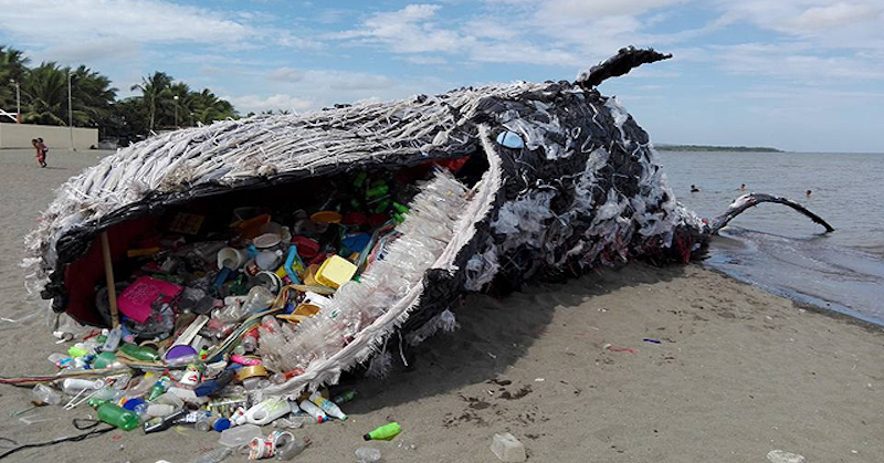 Táto „mŕtva veľryba“ je strašidelným pripomenutím masívneho problému znečistenia plastami