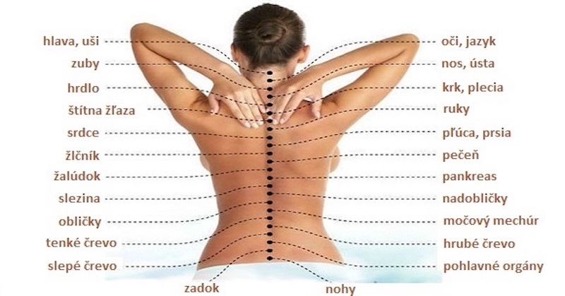 Skutočná príčina bolestí: Ako je chrbtica spojená so všetkými orgánmi