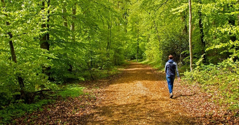 22 pozitívnych účinkov polhodinovej prechádzky v prírode na vaše zdravie