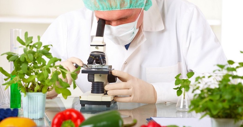 Potraviny, u ktorých je vedecky dokázané, že majú protirakovinové účinky