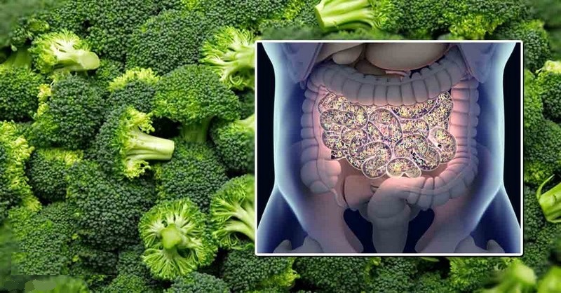 Čo ste o brokolici určite nevedeli a ako ju variť, aby ste využili čo najviac jej liečivej sily
