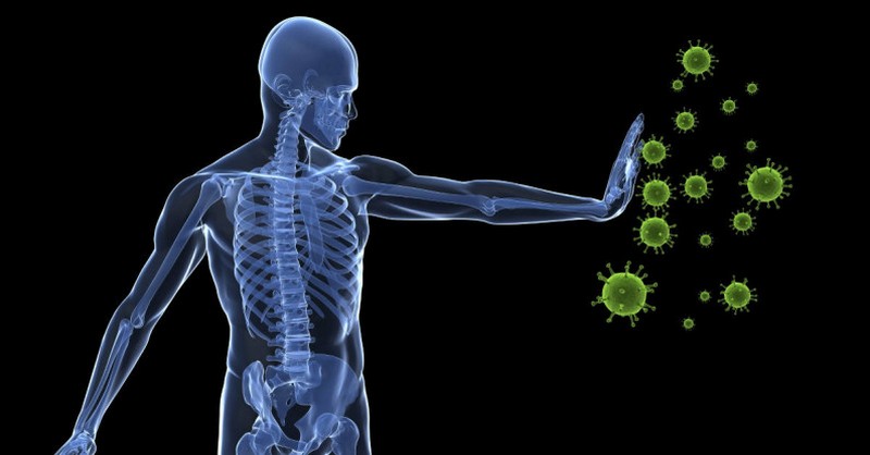 Vedci z Kalifornie navrhli spôsob, ako za 72 hodín zregenerovať celý imunitný systém