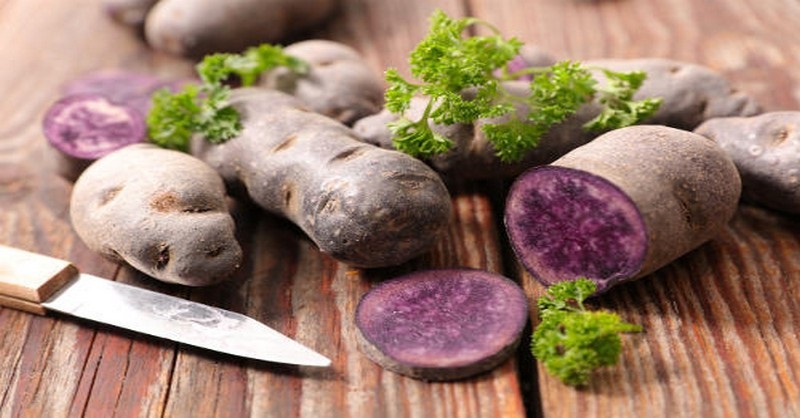Fialové zemiaky sú podľa lekárov malým zázrakom prírody na zníženie krvného tlaku