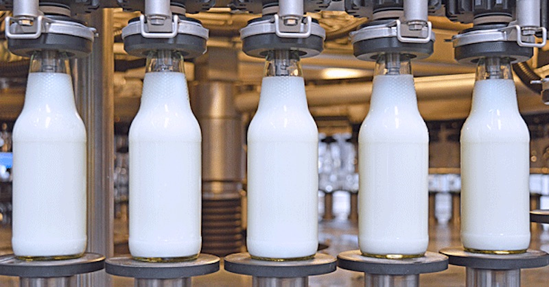 Pravda a lži o mlieku a mliekárenskom priemysle