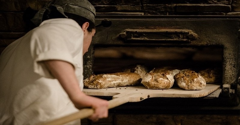 Prečo dnes chlieb spôsobuje mnohým ľuďom zdravotné problémy, kým kedysi tomu tak nebolo?