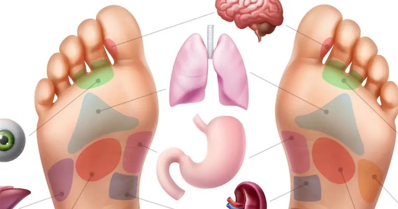 Ak chcete vedieť, či máte chorý nejaký orgán, pozrite sa na svoje chodidlá